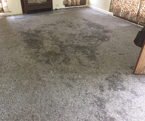 Carpet Cleaning 05 Before