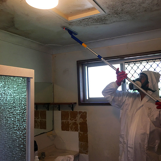 mould removal service in port macquarie