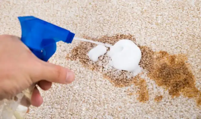 person removing stain from a carpet