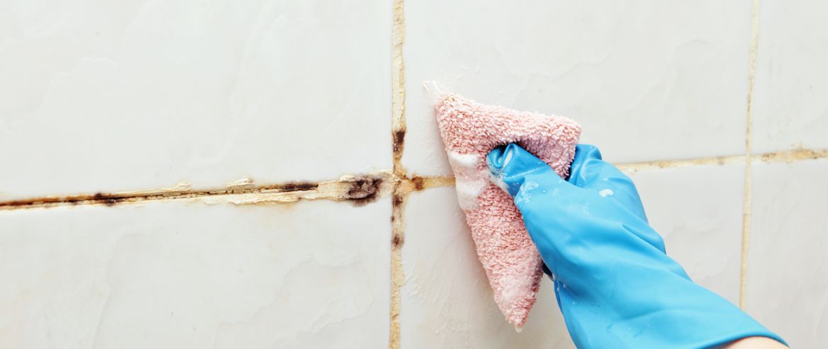 the mould prevention and removal guide
