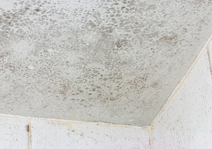 Ceiling corners and cupboards