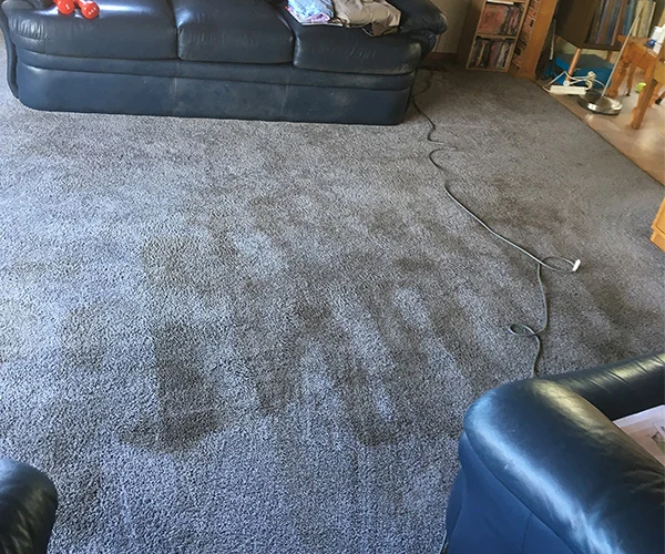 Carpet Cleaning 06 Before