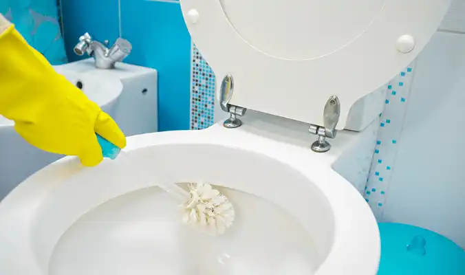 brush used in bathroom cleaning