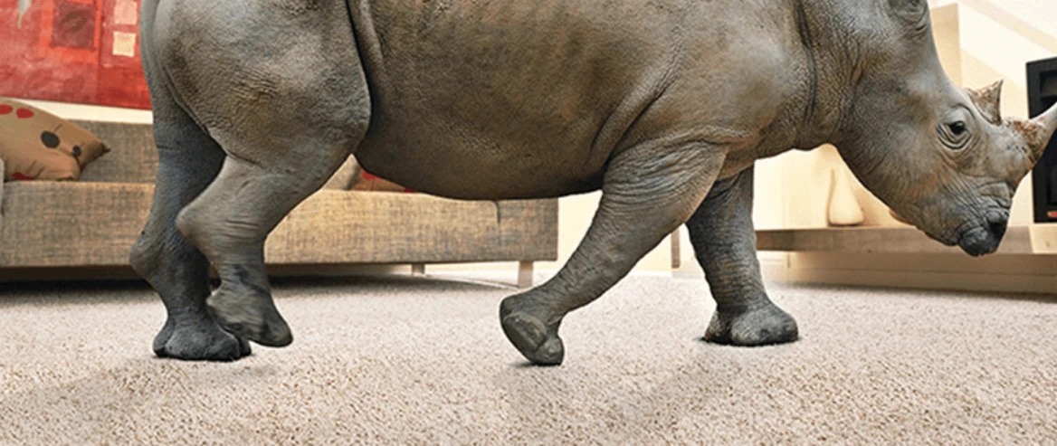 what is corn rhino carpet