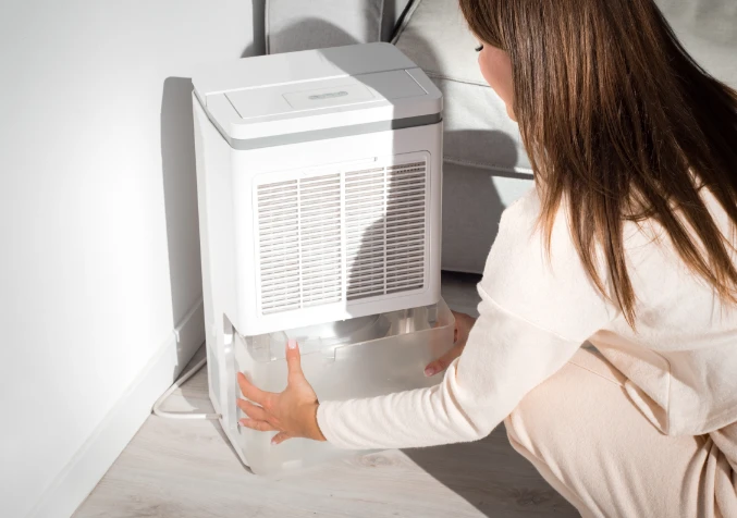 What is the difference between a dehumidifier and air purifier?