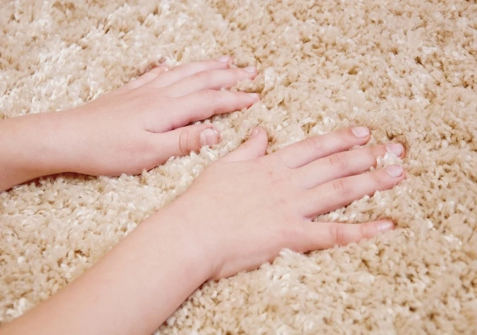 feeling carpet fibre