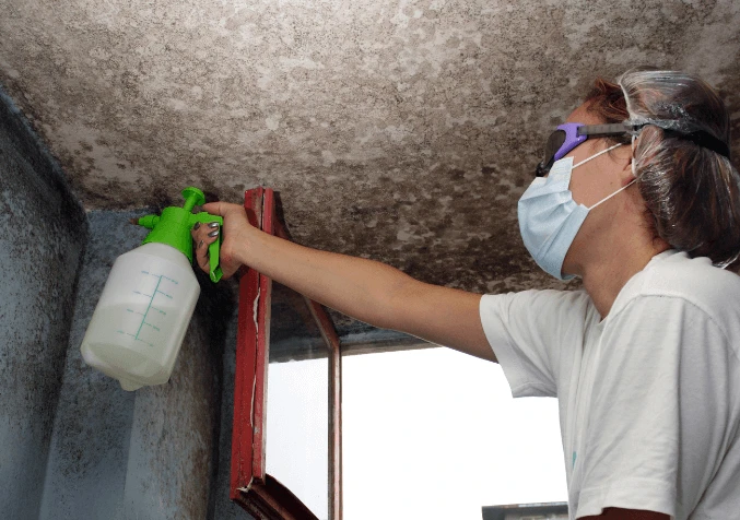 How to Prevent Mould in Your Home