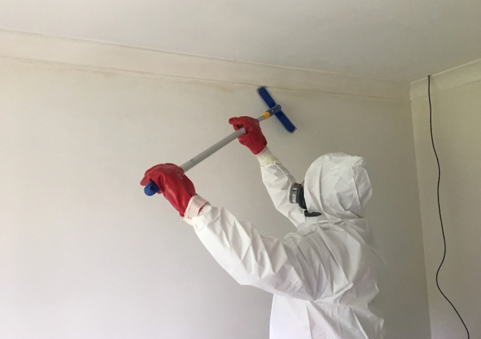 How Does a Professional Get Rid of Mould?
