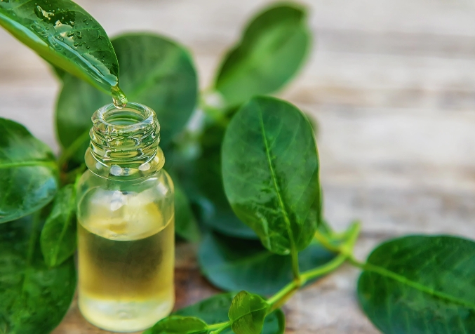Eucalyptus oil bottle for dissolving gum on carpet.