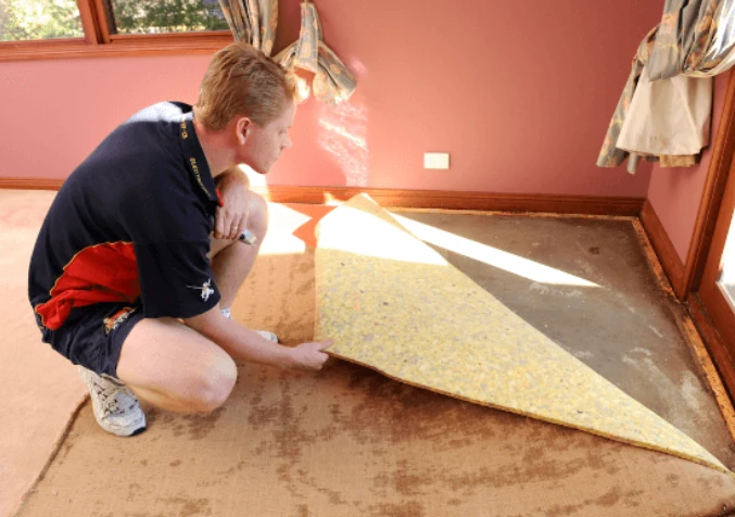 Electrodry technician inspecting urine damaged carpet underlay