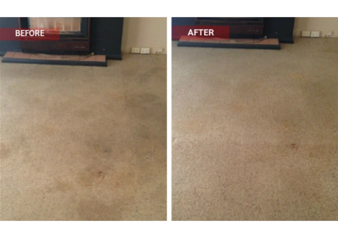 well work carpets before and after cleaning