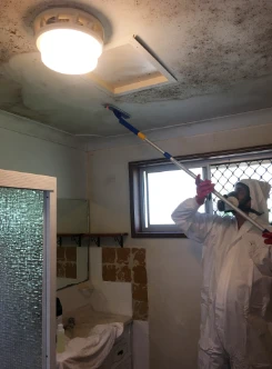 Mould Cleaning