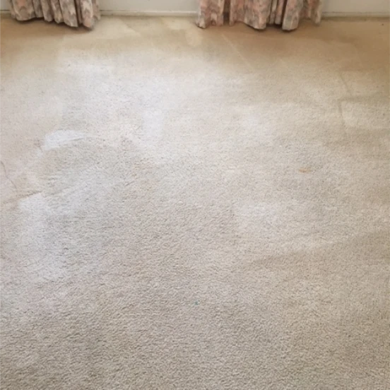 6 Carpet After