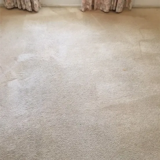 6 Carpet After