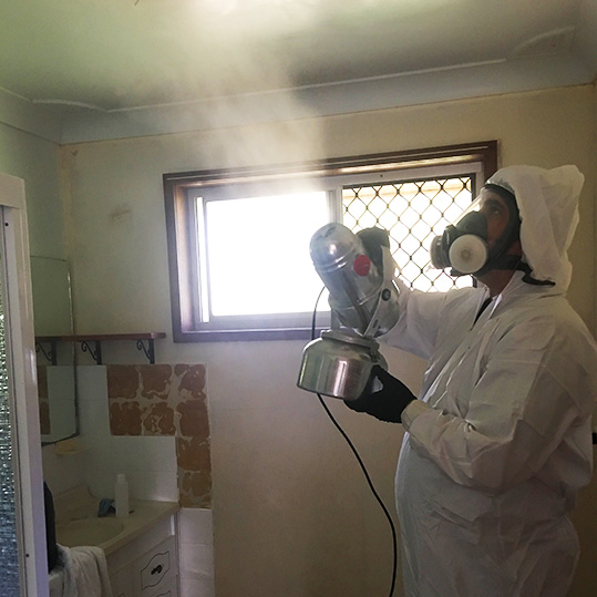 mould cleaning townsville