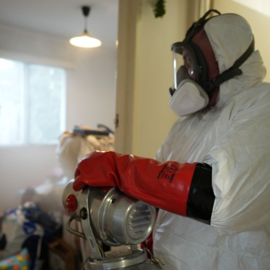 mould removal service in Busselton