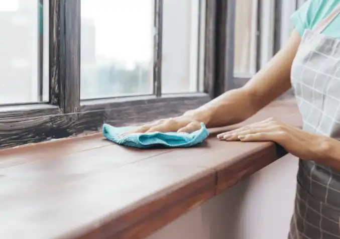 woman cleaning the window sills