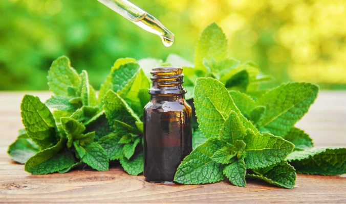 peppermint essential oil