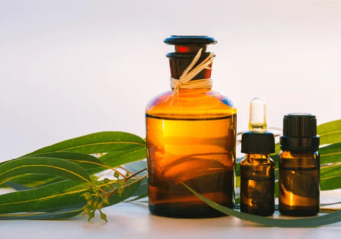 eucalyptus essential oil