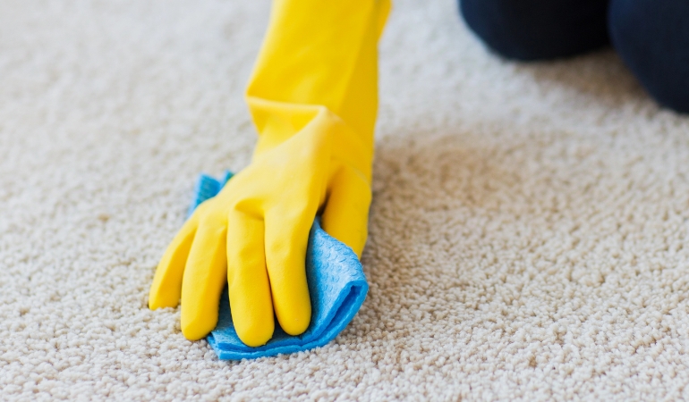 Blotting red cordial spill on carpet with a blue towel.