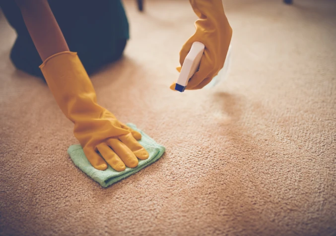 treating lipstick stain on carpet