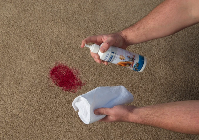 Applying Electro 3 stain remover to cloth for carpet cleaning.