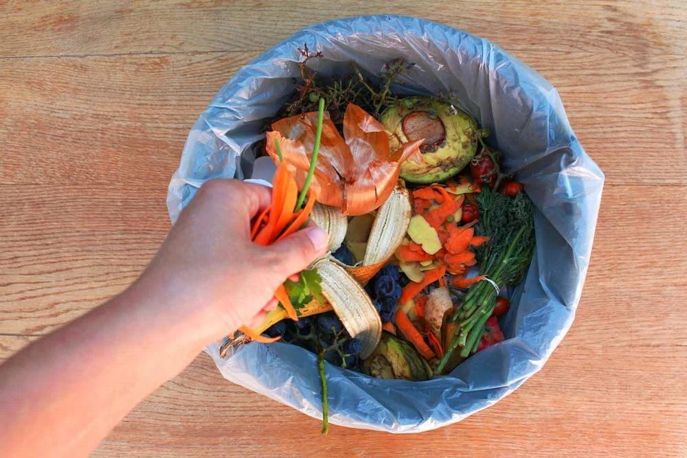 how to deal with a smelly garbage can