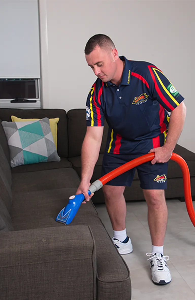 Upholstery Cleaning Desktop
