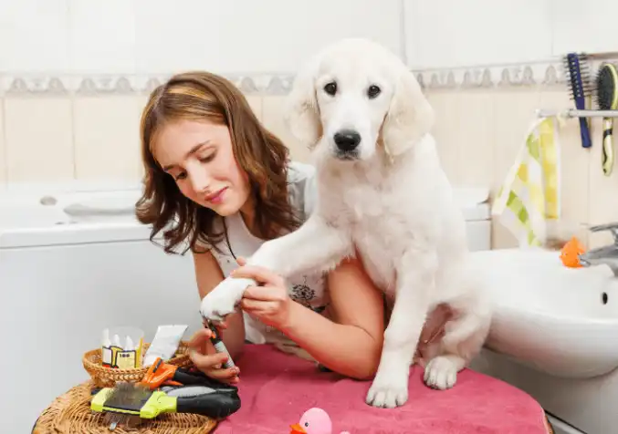woman clipping her puppy's nails