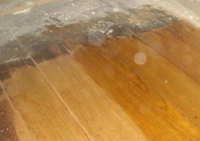 crusty wood floors