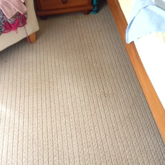 1 Carpet After
