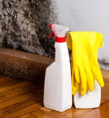 do not use bleach for mould removal