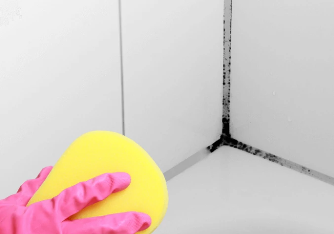 Bathroom Mould cleaning using Hydrogen Peroxide
