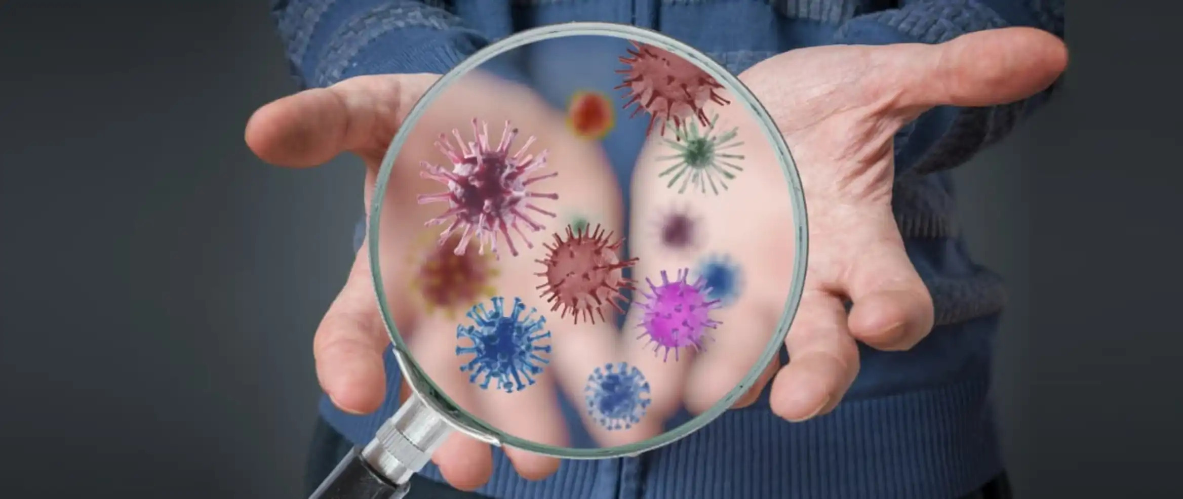 bacteria growing on a petri dish