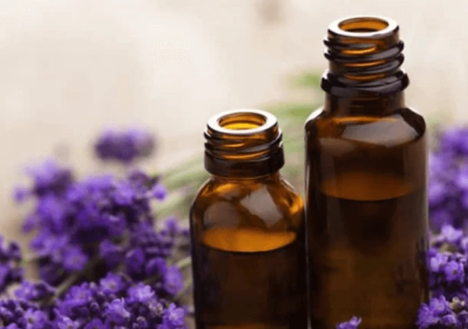 lavender oil