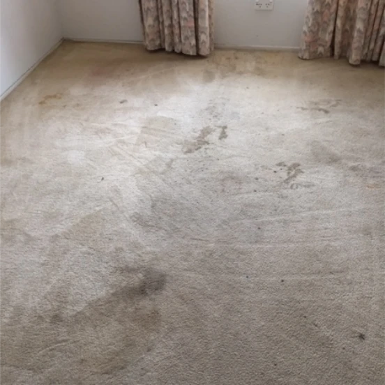 6 Carpet Before