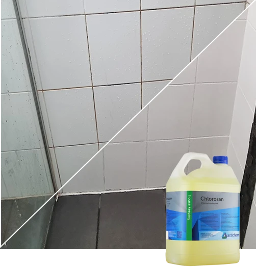 tile and grout mould and mildew removal adelaide