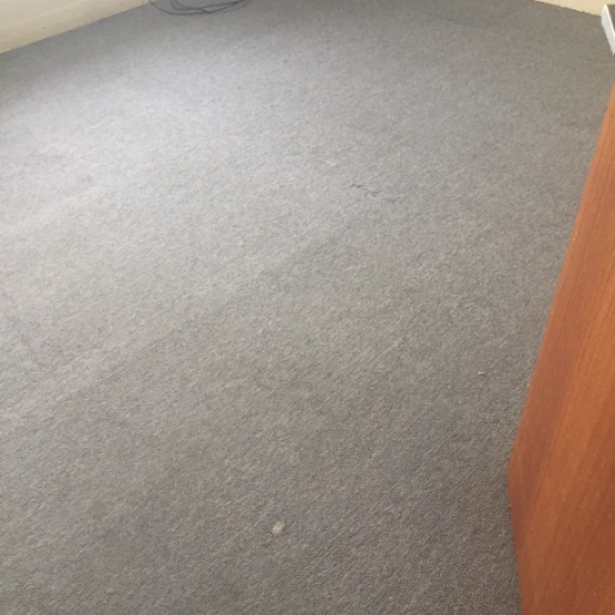 8 Carpet After