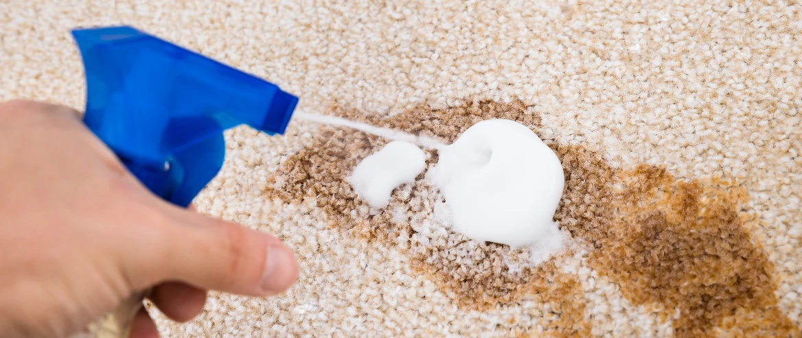 cleaning vomit stain and odour from carpet