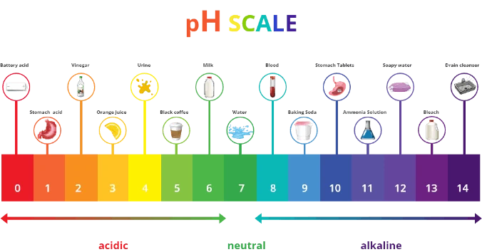 pH Scale