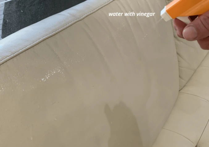 spraying vinegar solution on leather lounge